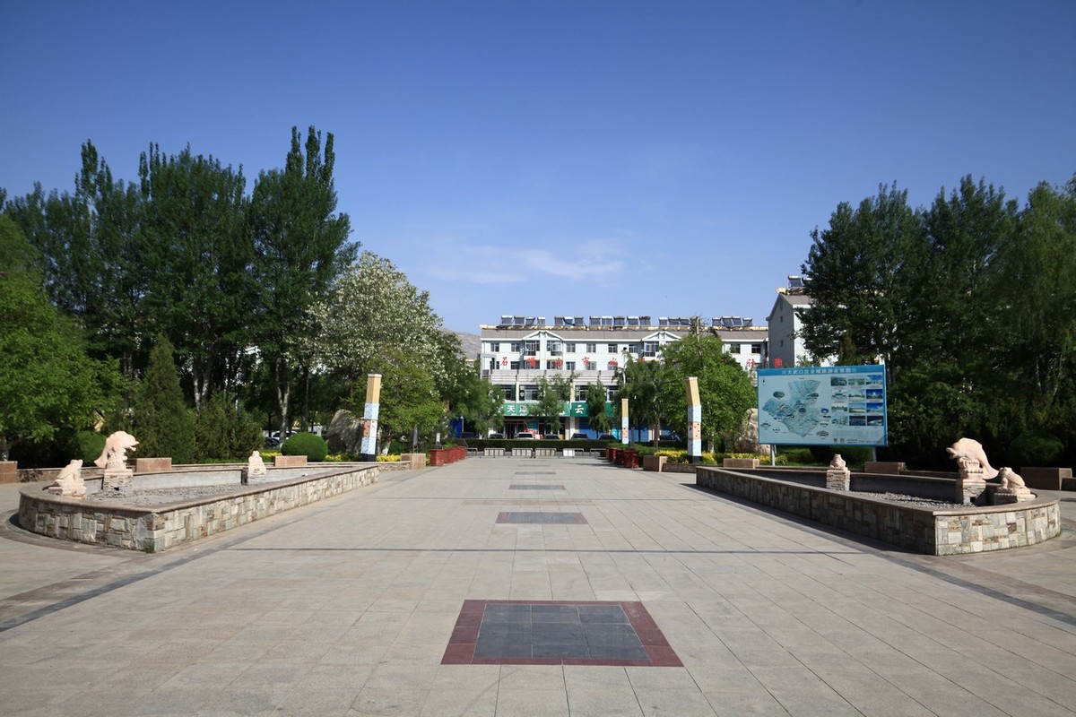 不喜微单就爱单反，更爱无敌兔！