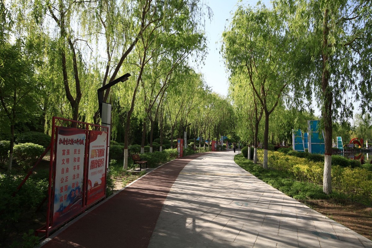 不喜微单就爱单反，更爱无敌兔！