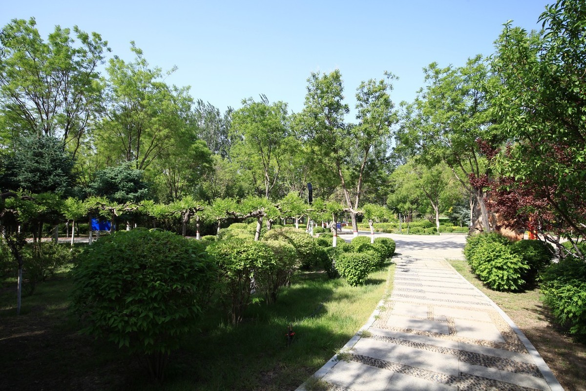 不喜微单就爱单反，更爱无敌兔！