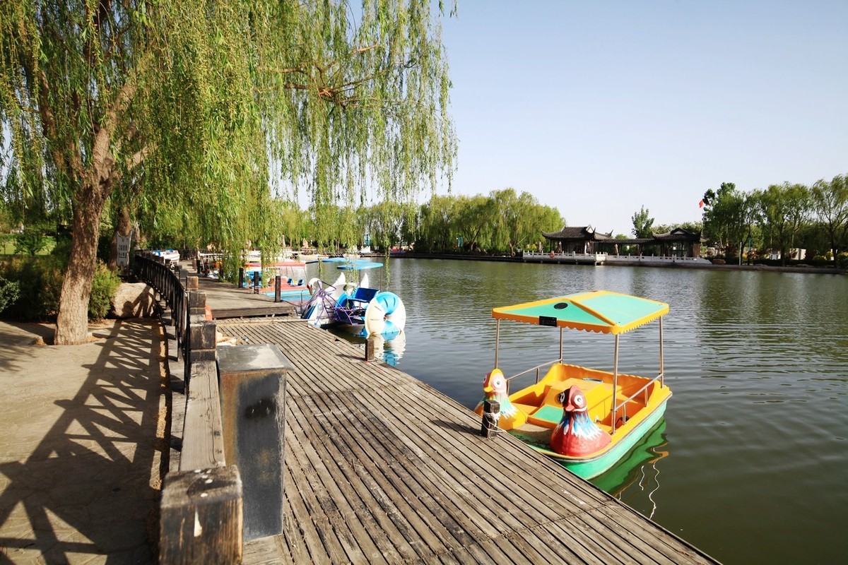 不喜微单就爱单反，更爱无敌兔！