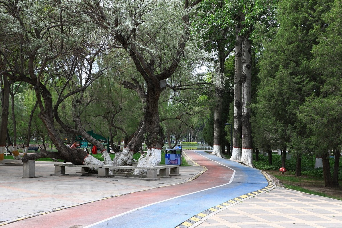 不喜微单就爱单反！