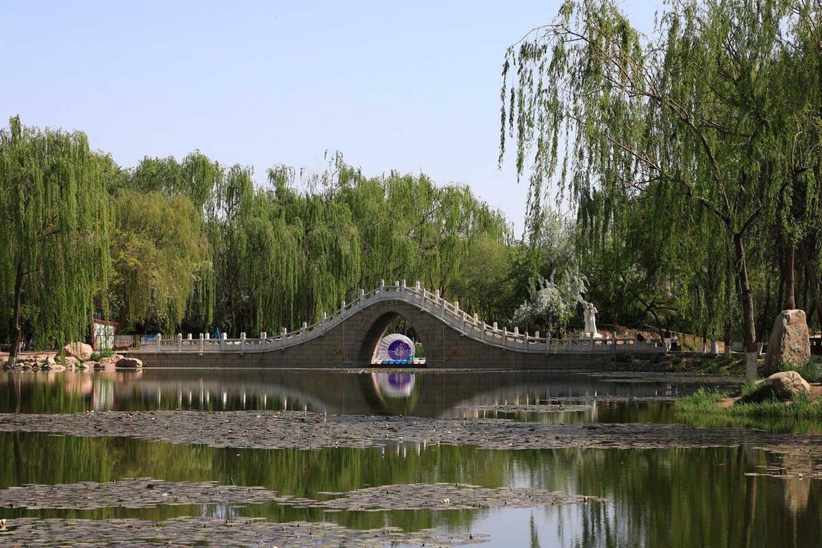 不喜微单就爱单反！