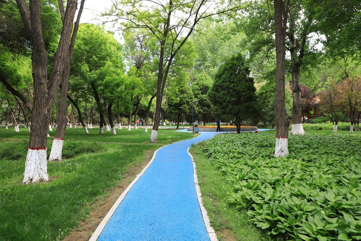 不喜微单就爱单反！