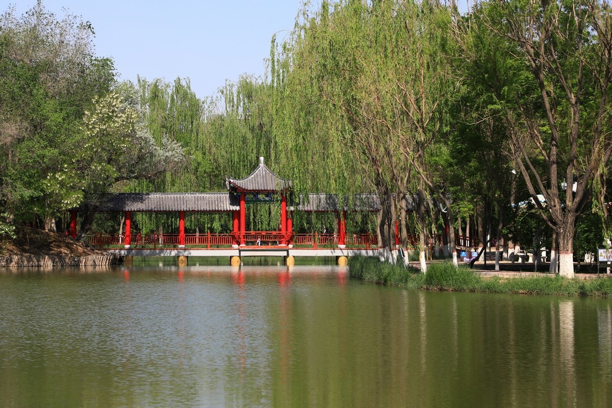 不喜微单就爱单反！