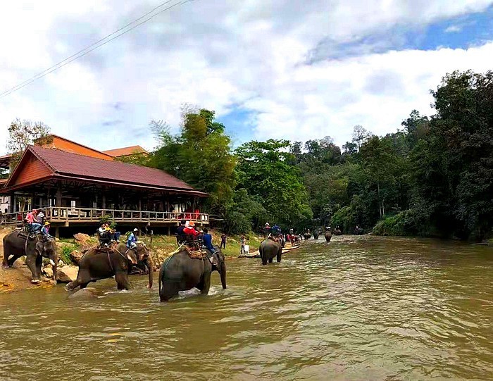 《不老松：中游国旅：异国风情：手机篇》15在清迈骑大象，要过河翻山真的很刺激！