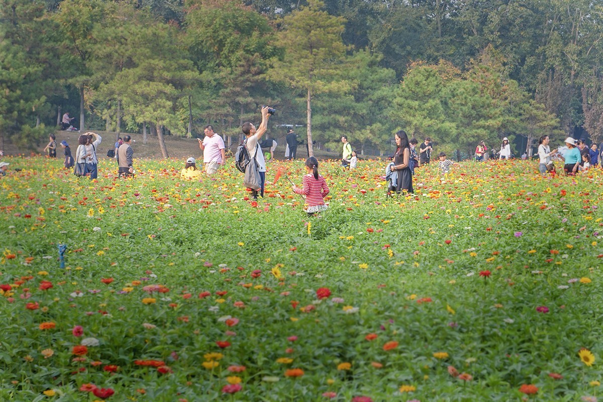 体会24-70镜头的虚化