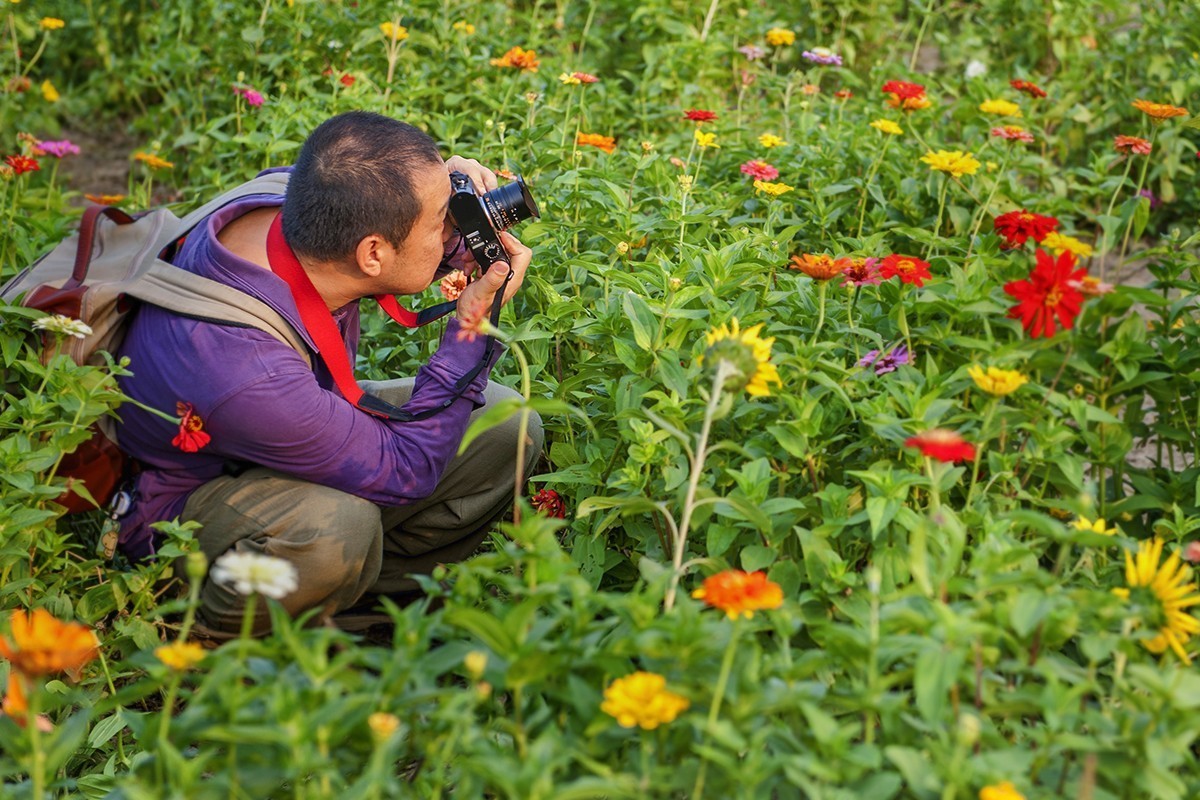 体会24-70镜头的虚化
