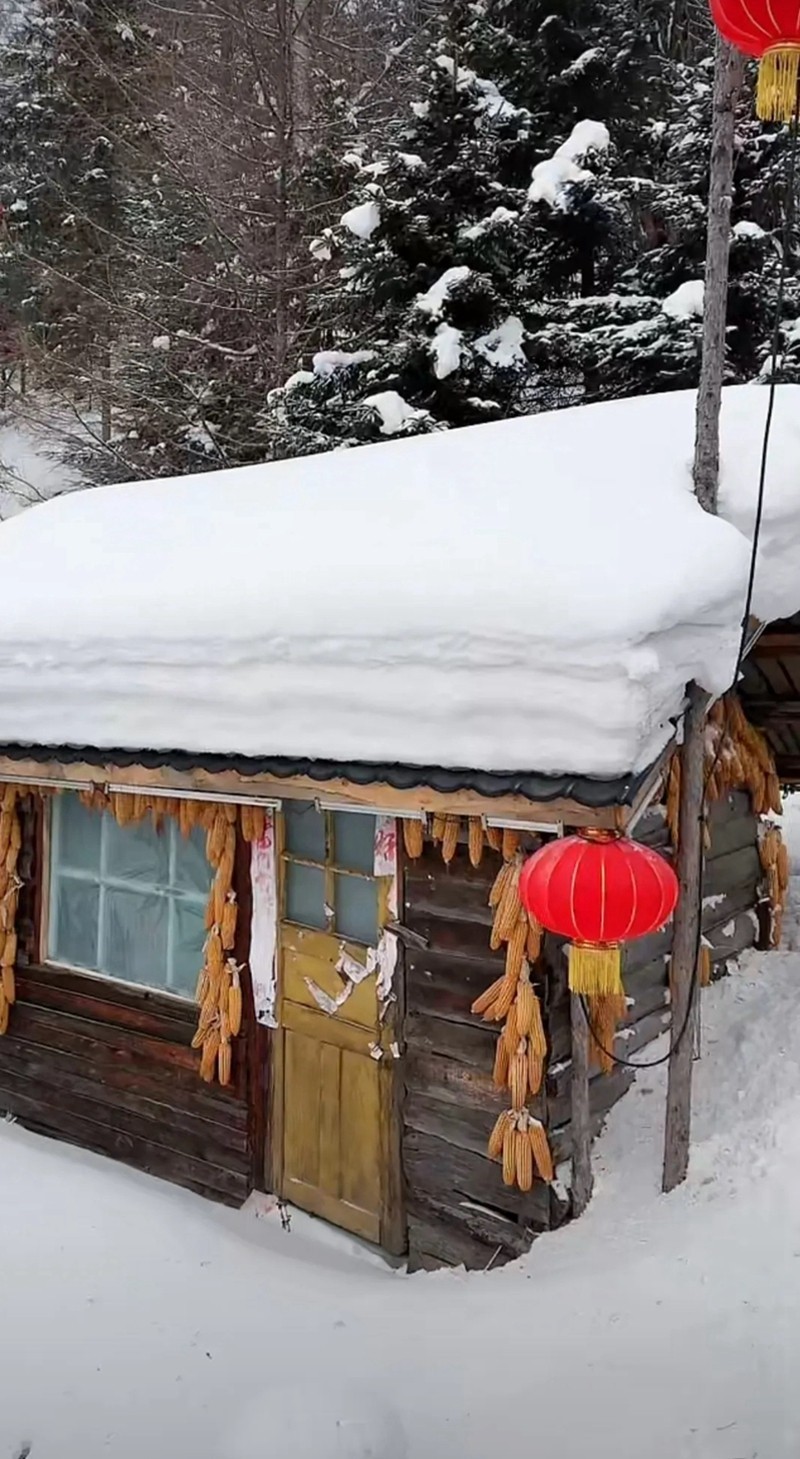 中国雪乡--双峰林场12