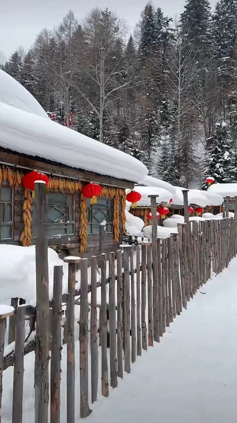 中国雪乡--双峰林场12