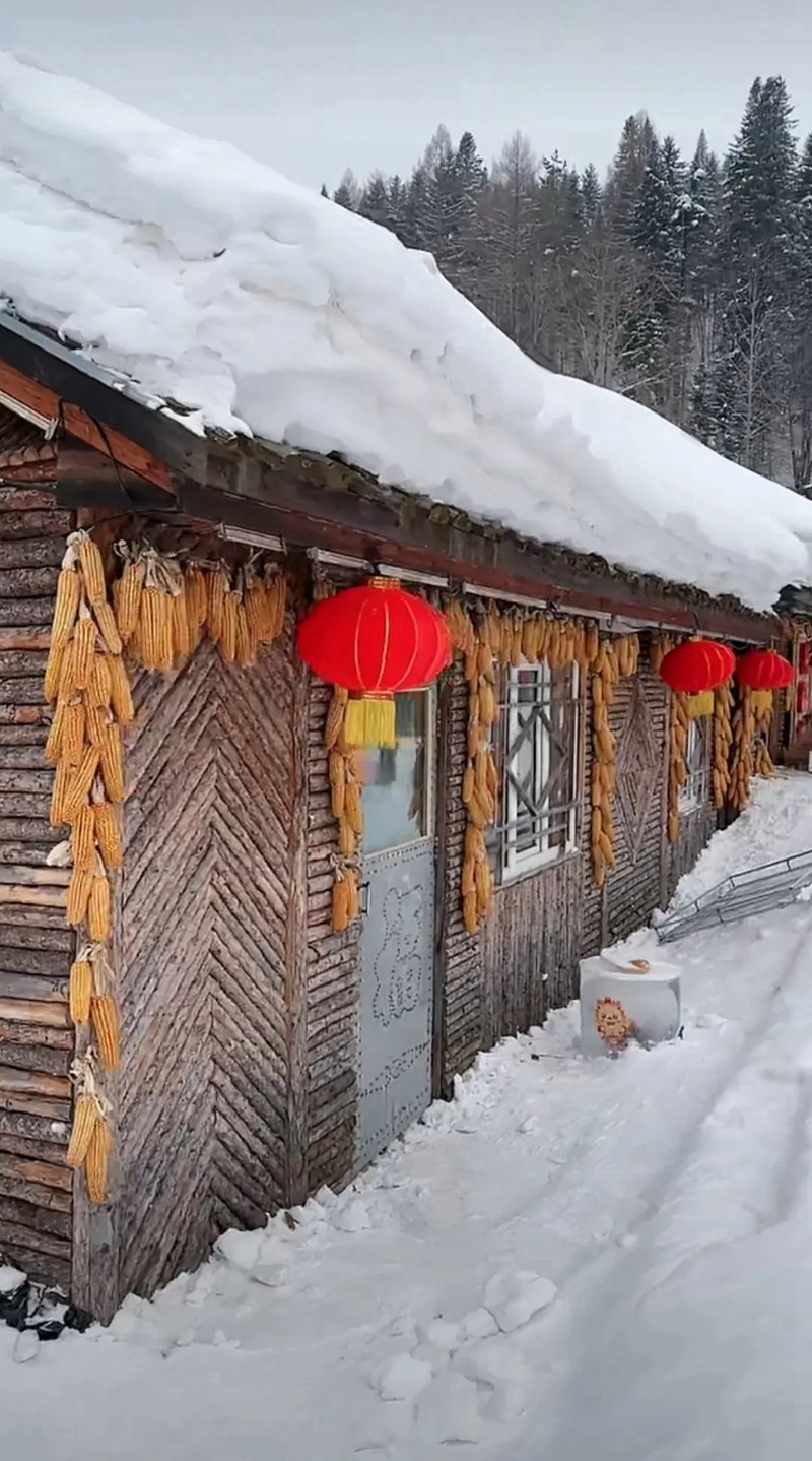 中国雪乡--双峰林场12