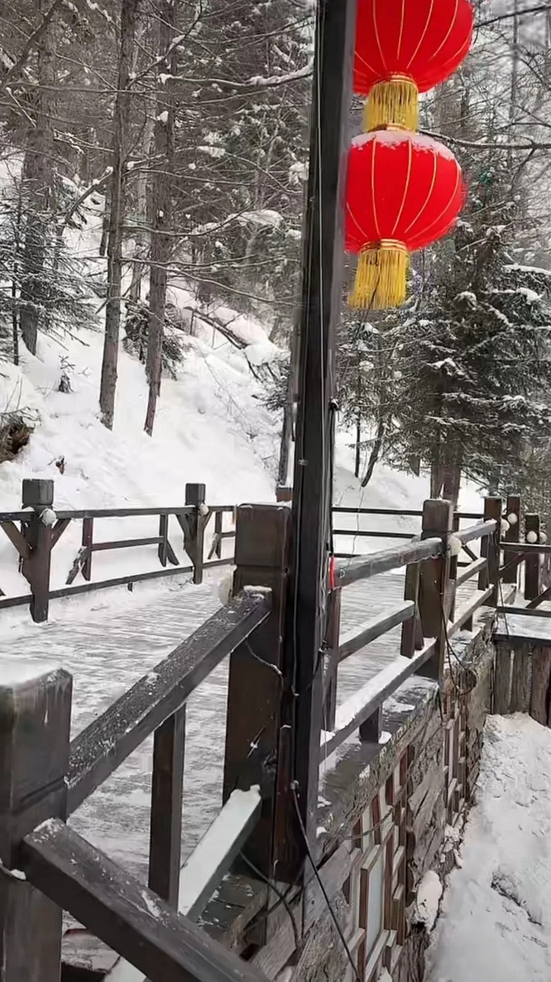 中国雪乡--双峰林场12