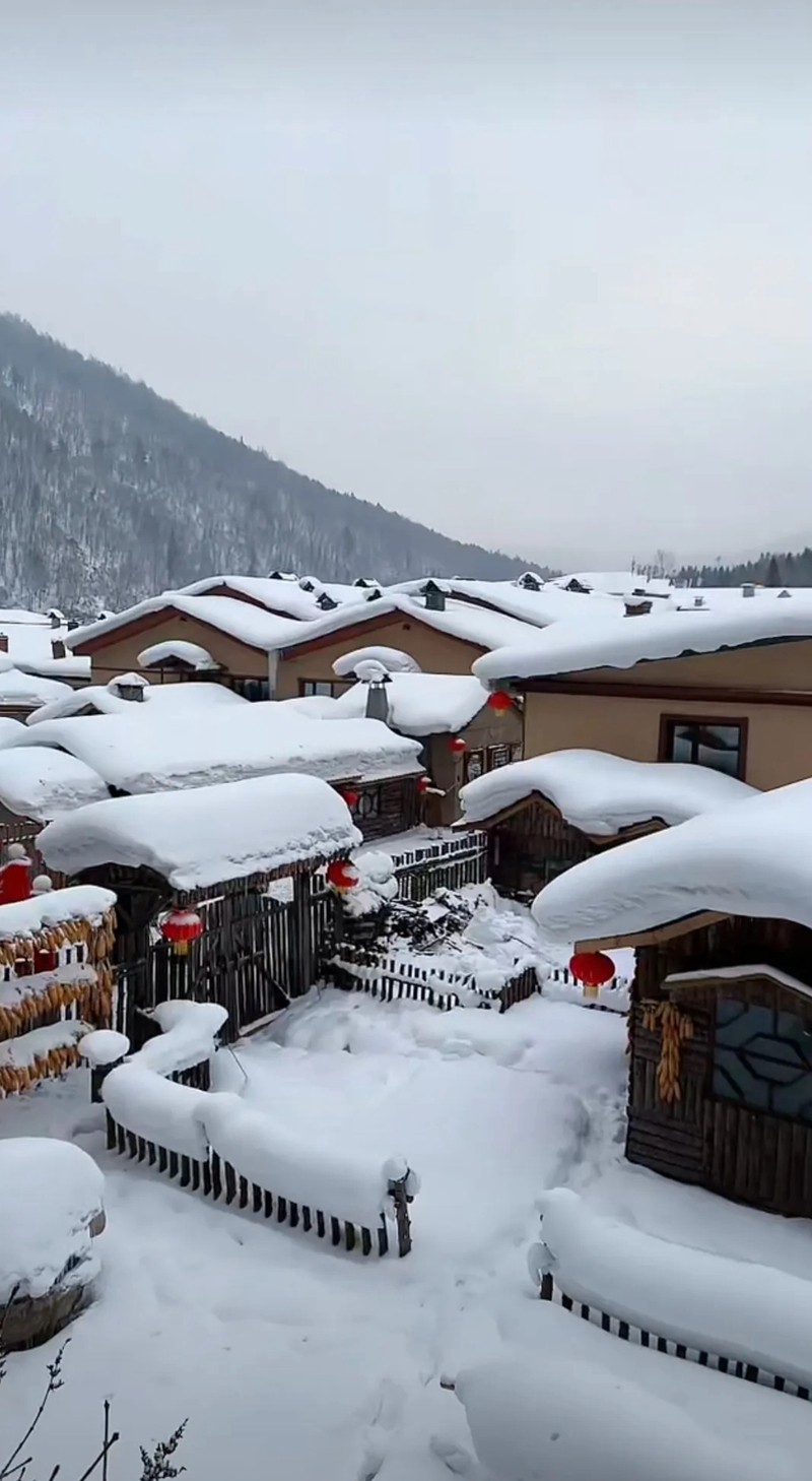 中国雪乡--双峰林场12