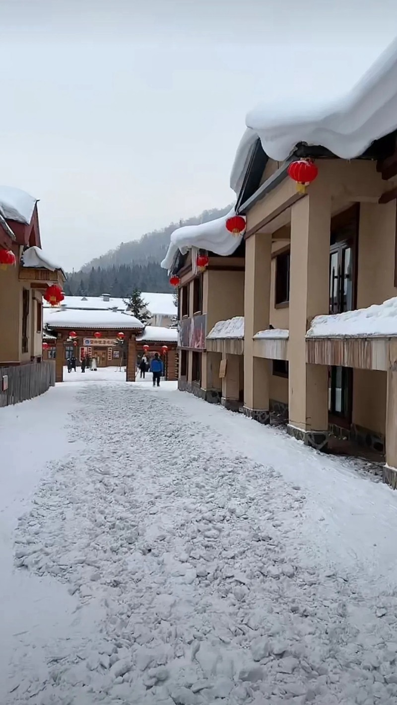 中国雪乡--双峰林场12