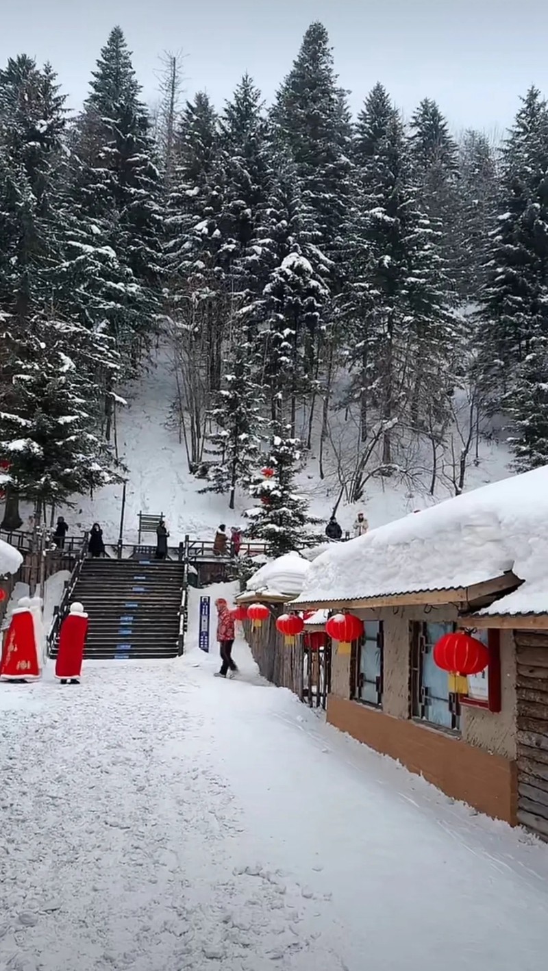 中国雪乡--双峰林场12