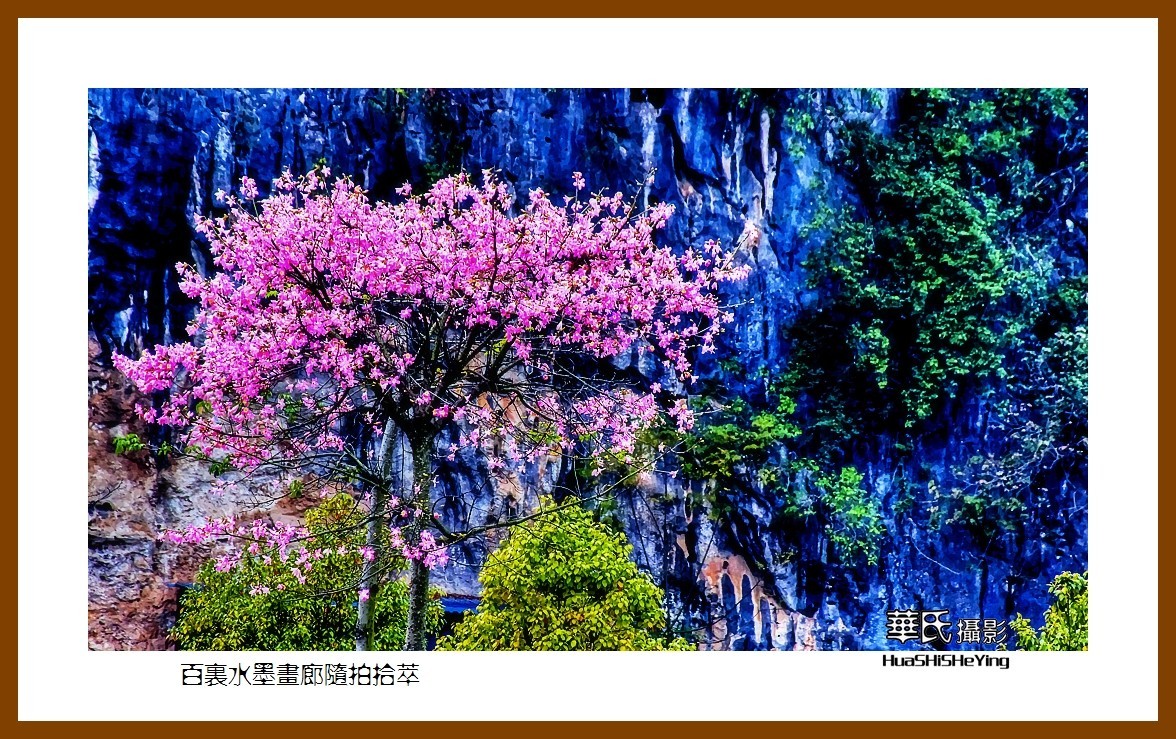 2021南行慢游（广西125）—百里水墨画廊随拍拾萃（贺州市钟山县）