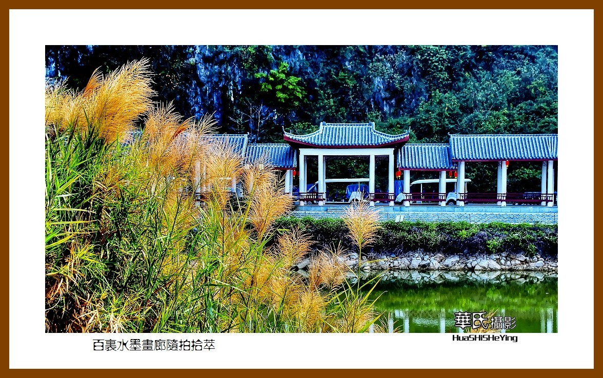 2021南行慢游（广西125）—百里水墨画廊随拍拾萃（贺州市钟山县）