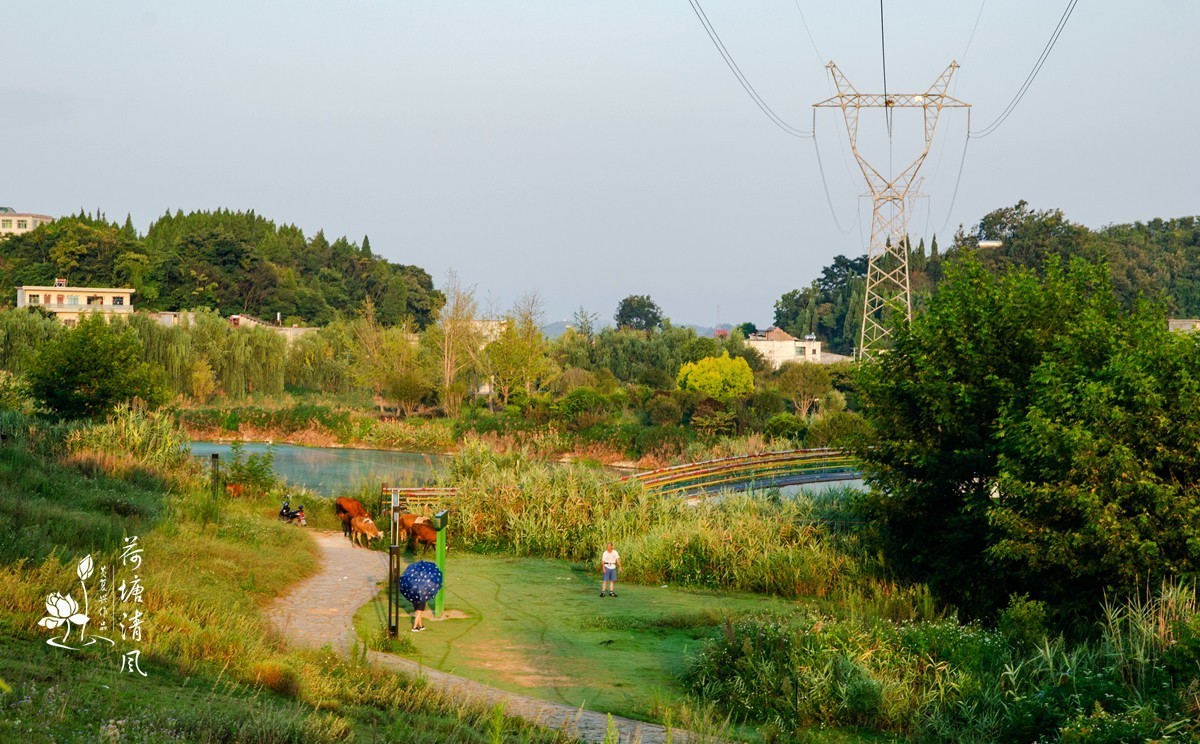 早上徒步拍摄，健身运动公园