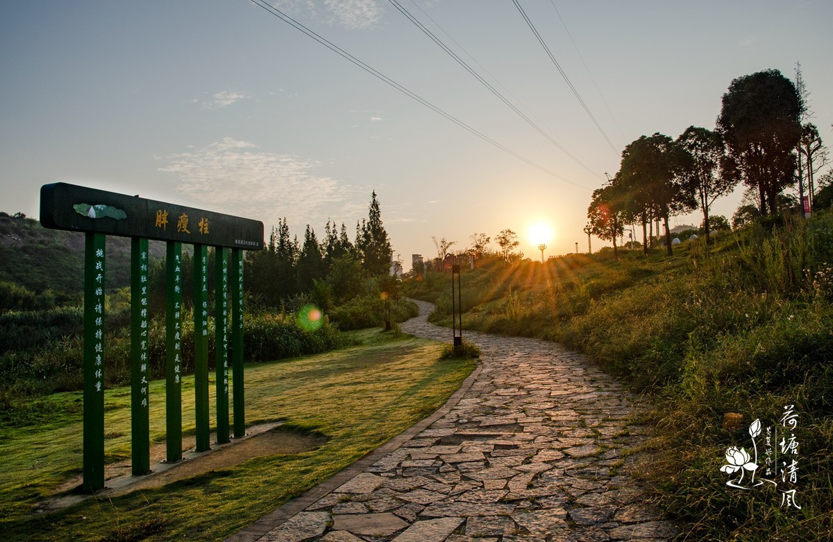 早上徒步拍摄，健身运动公园