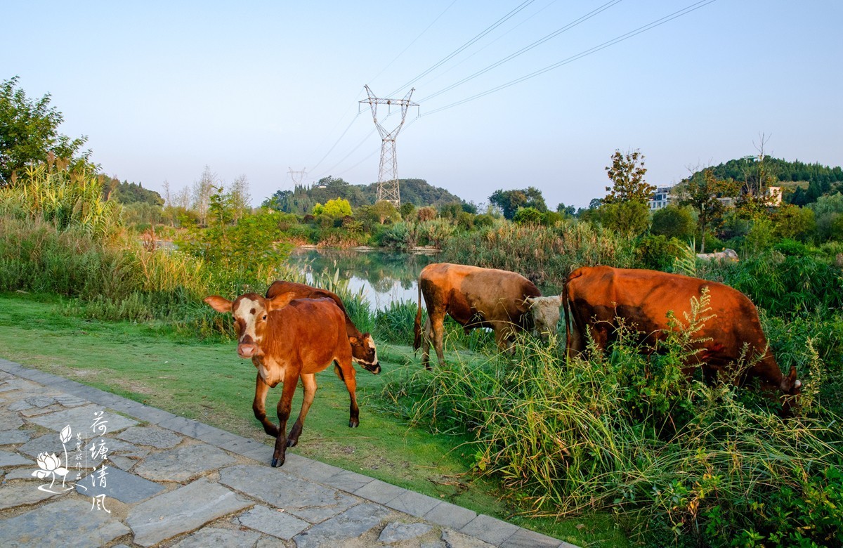 早上徒步拍摄，健身运动公园
