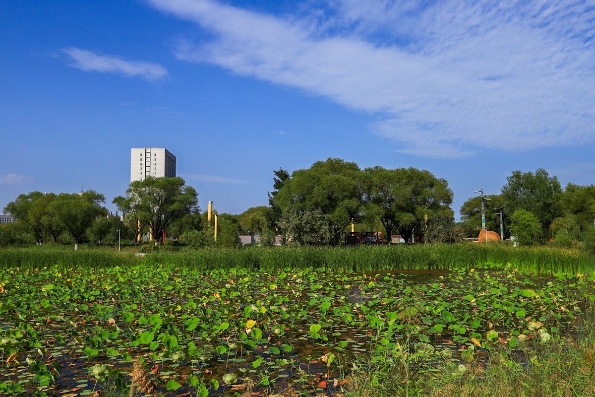 溜腿——溜机——溜乐趣（3）