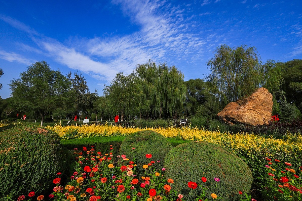 溜腿——溜机——溜乐趣（3）