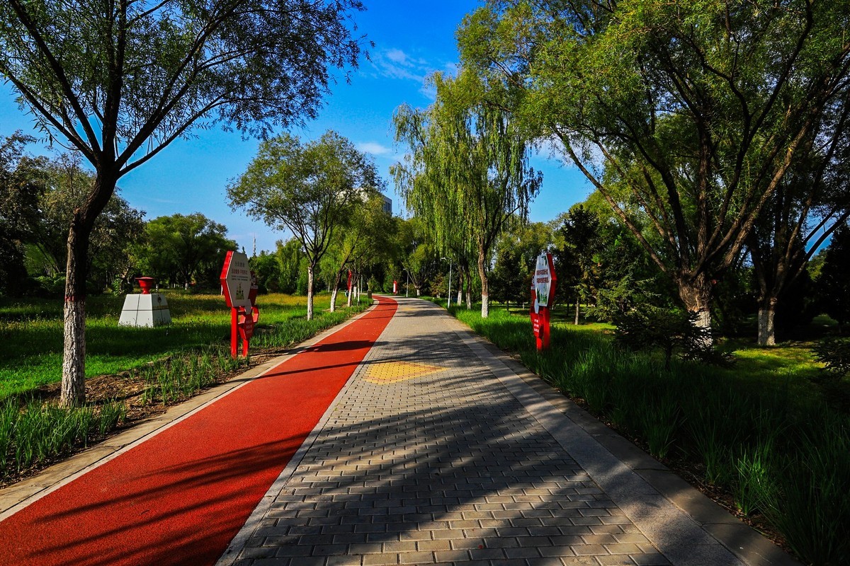 溜腿——溜机——溜乐趣（3）