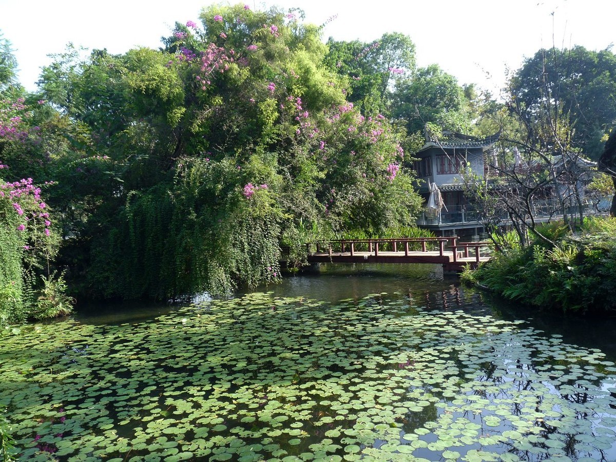 池塘小景，祝众摄友中秋节快乐！