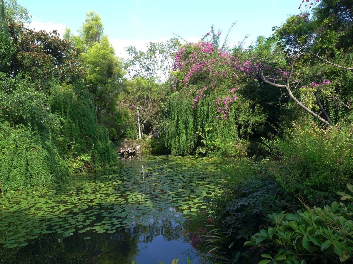 池塘小景，祝众摄友中秋节快乐！