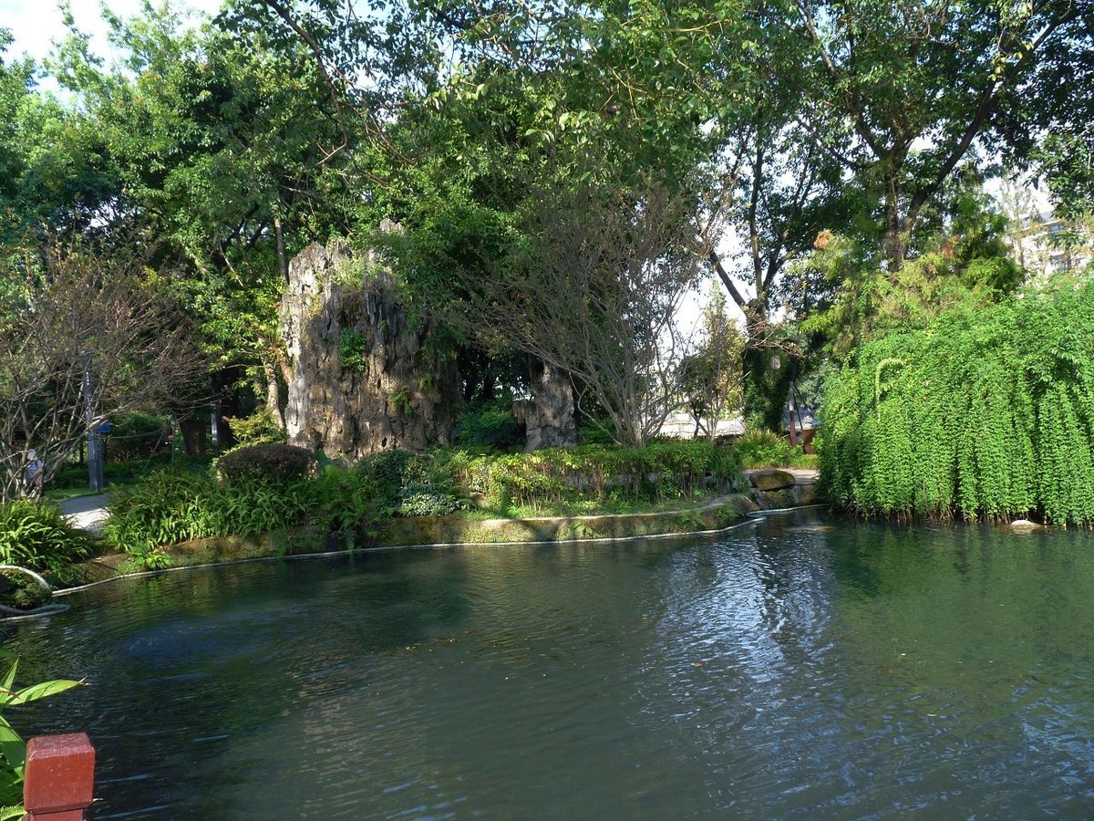 池塘小景，祝众摄友中秋节快乐！