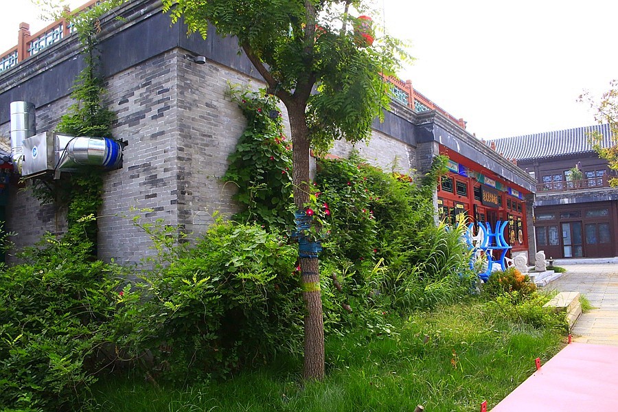 《不老松：纪实摄影》大美沧州系列報道：园博园沧州坊！ (14)和沧州南川老街性质差不