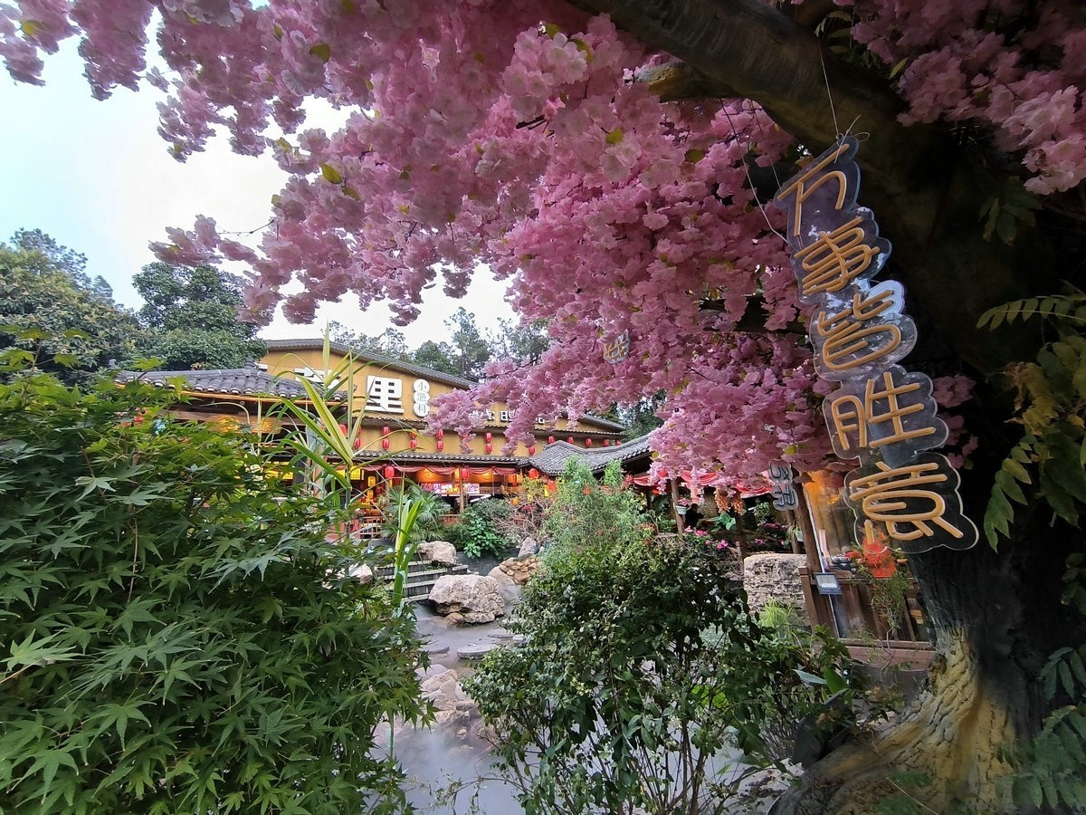 漫步星城 走街串巷（514）渔家饭