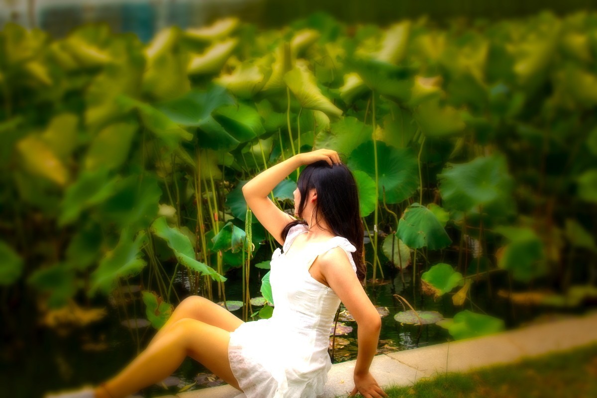 荷花池旁抓拍 10