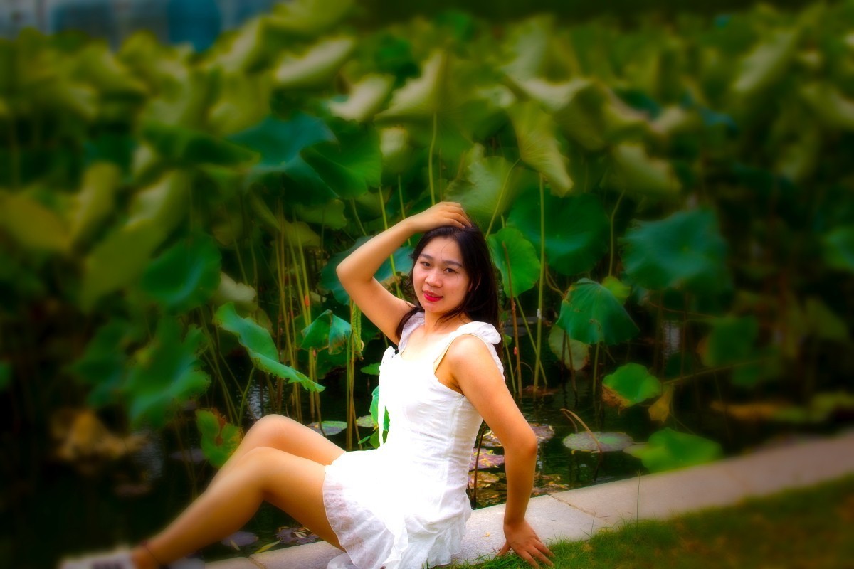 荷花池旁抓拍 10