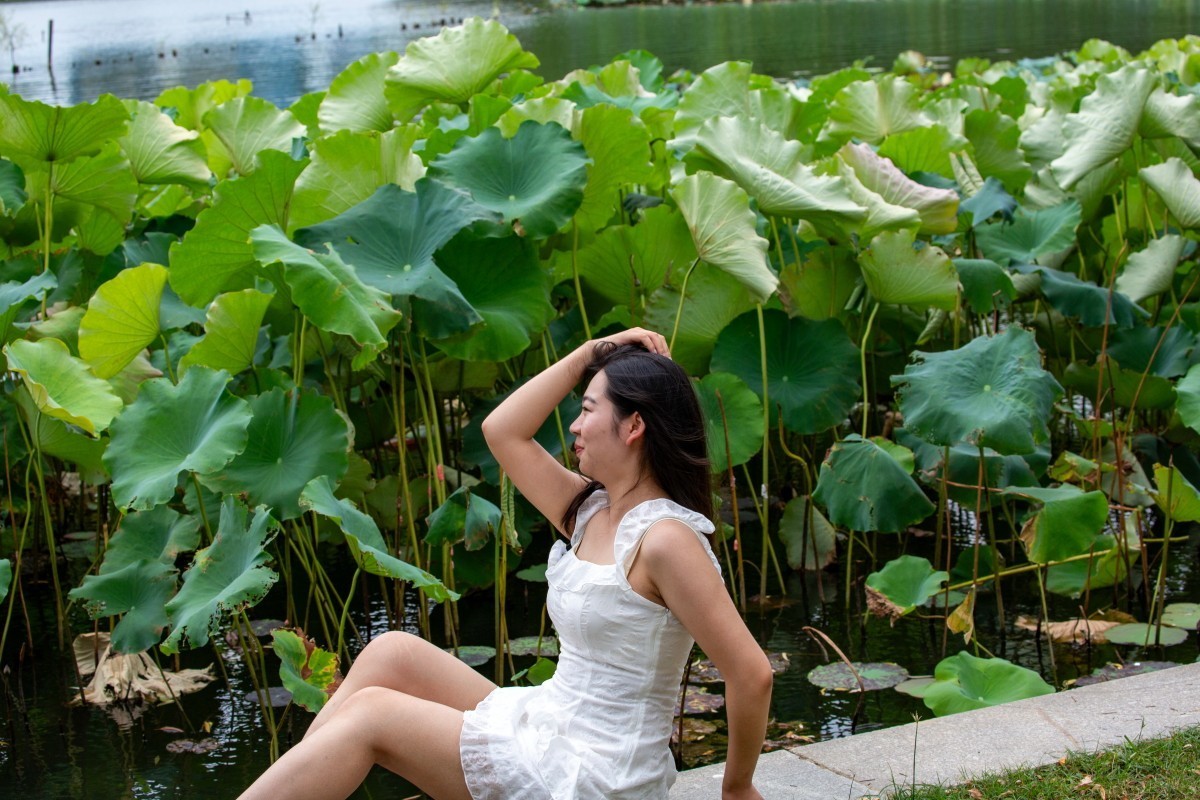 荷花池旁抓拍 10