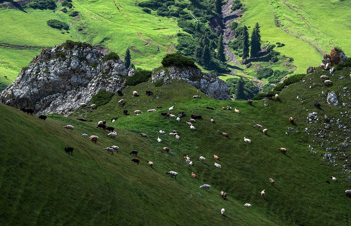 行在云端的伊昭公路 —2022新疆大、小独库公路自驾游见闻之一