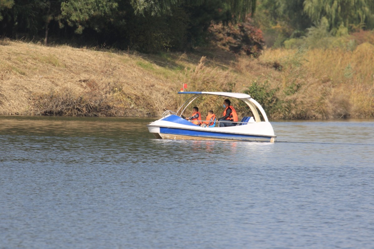 湿地公园保护鸟类
