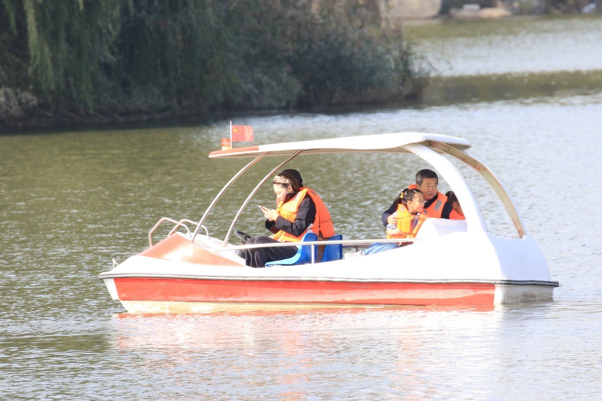 湿地公园保护鸟类