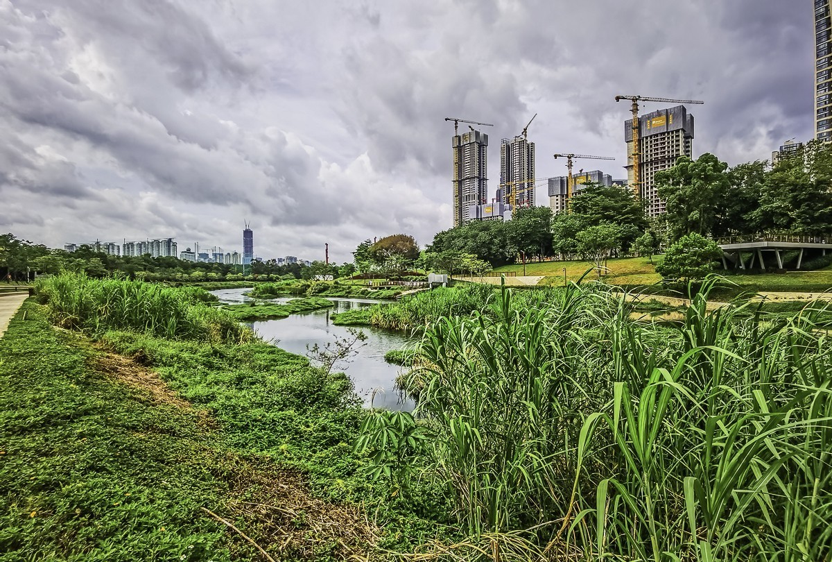 深圳大沙河生态长廊掠影