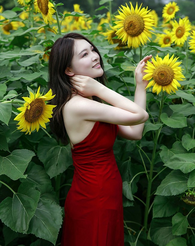 葵园里的红裙子