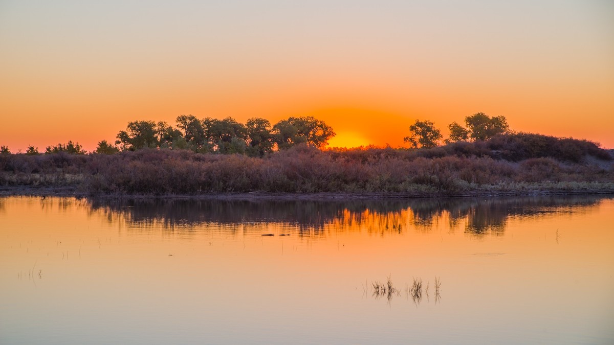 额济纳胡杨林二道桥的晨