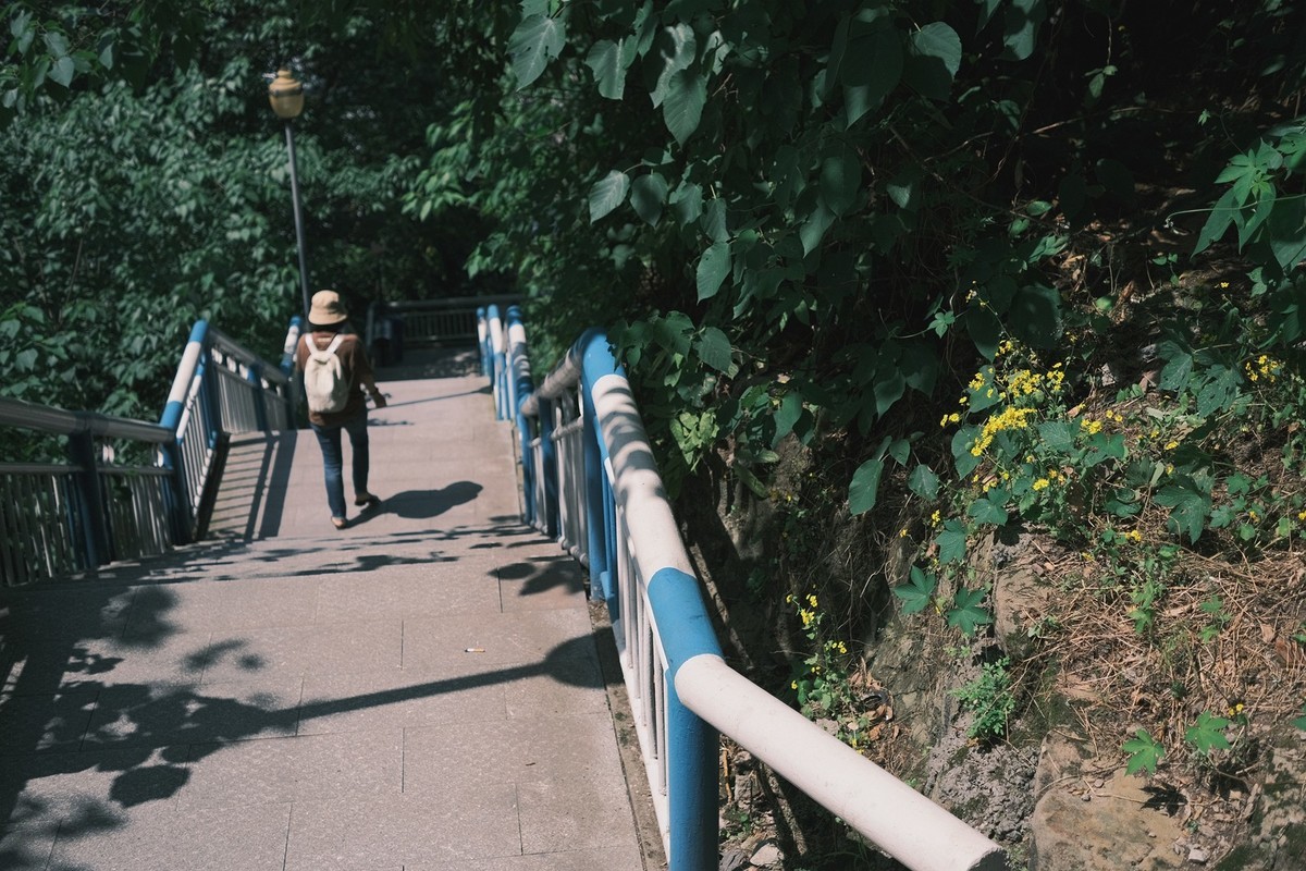 【 初夏，登重庆铜元之光观景平台随拍 】