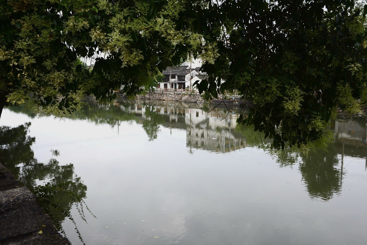 烟雨江南乌镇行