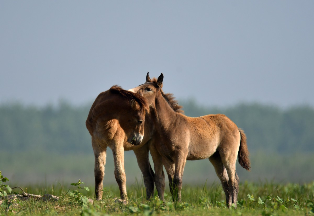 国庆节洞庭湖随拍