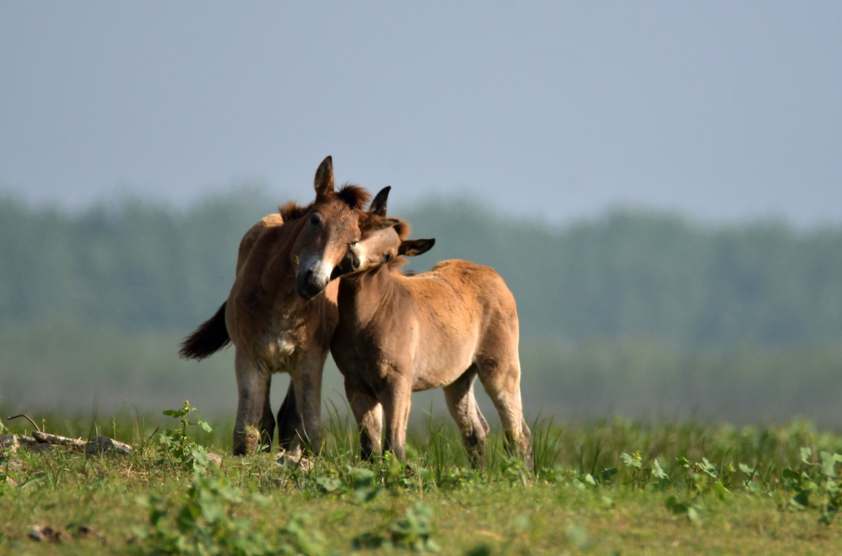 国庆节洞庭湖随拍