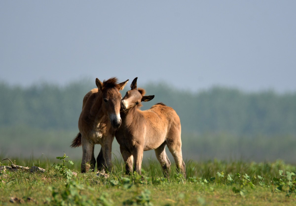 国庆节洞庭湖随拍