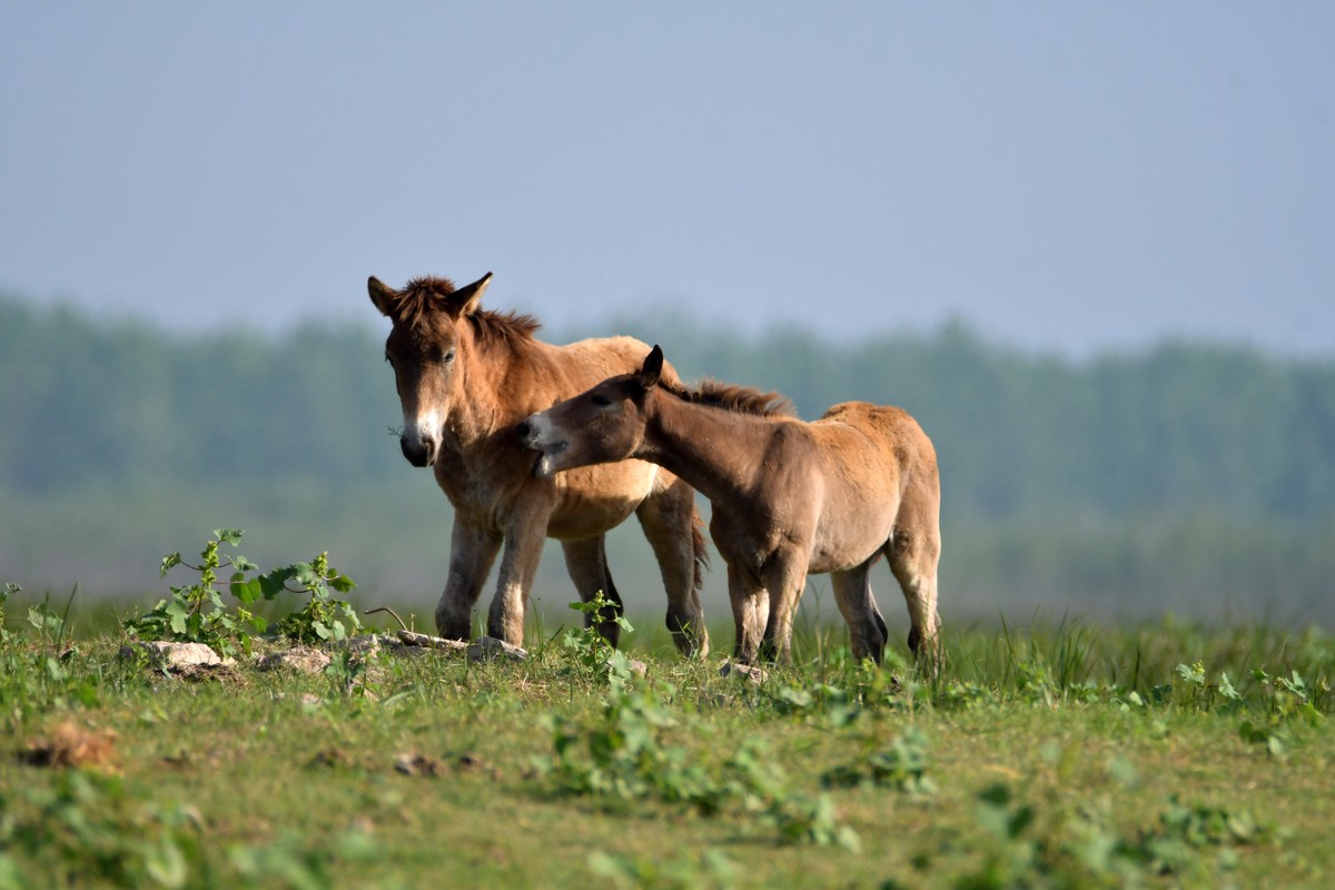 国庆节洞庭湖随拍