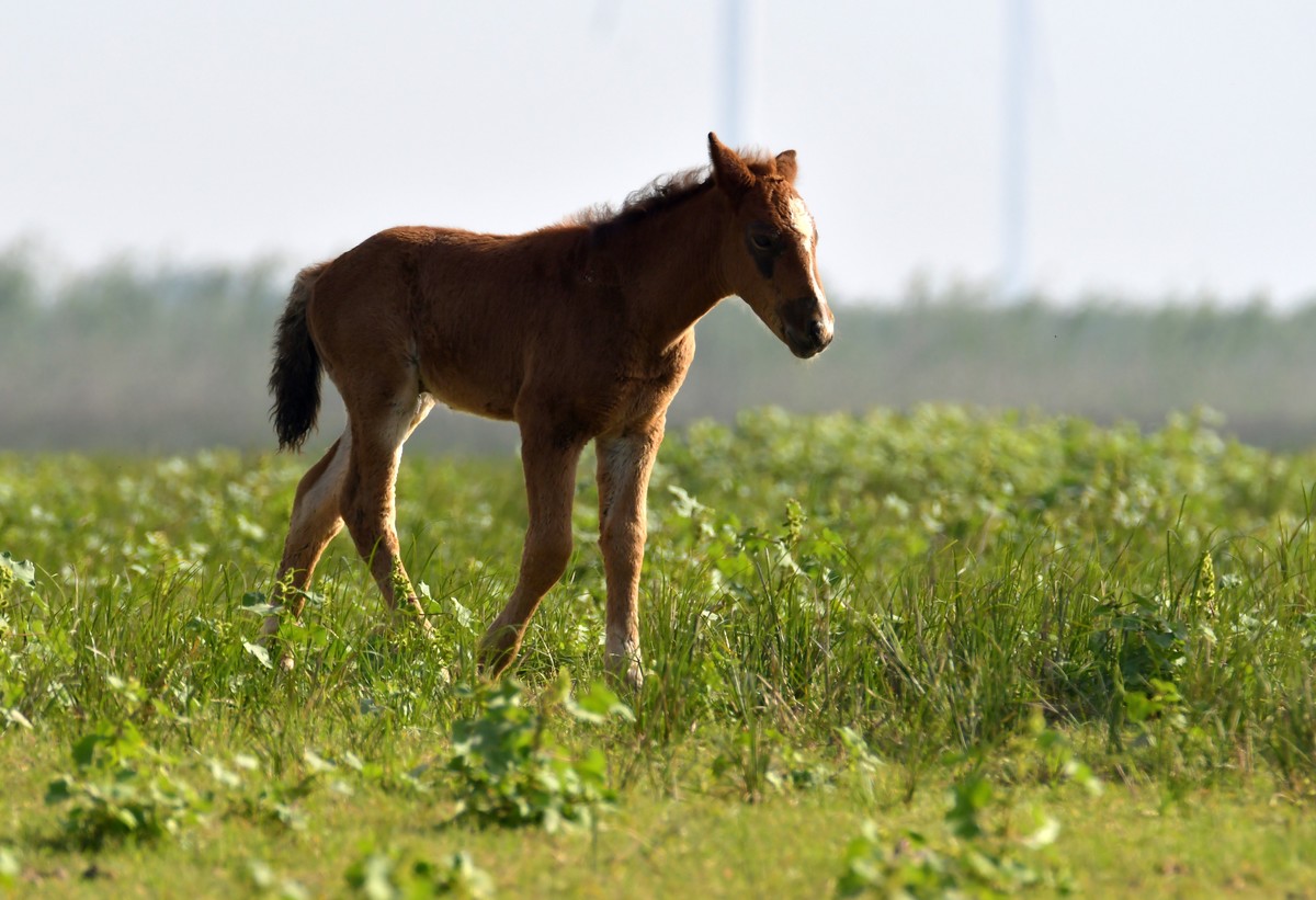 国庆节洞庭湖随拍