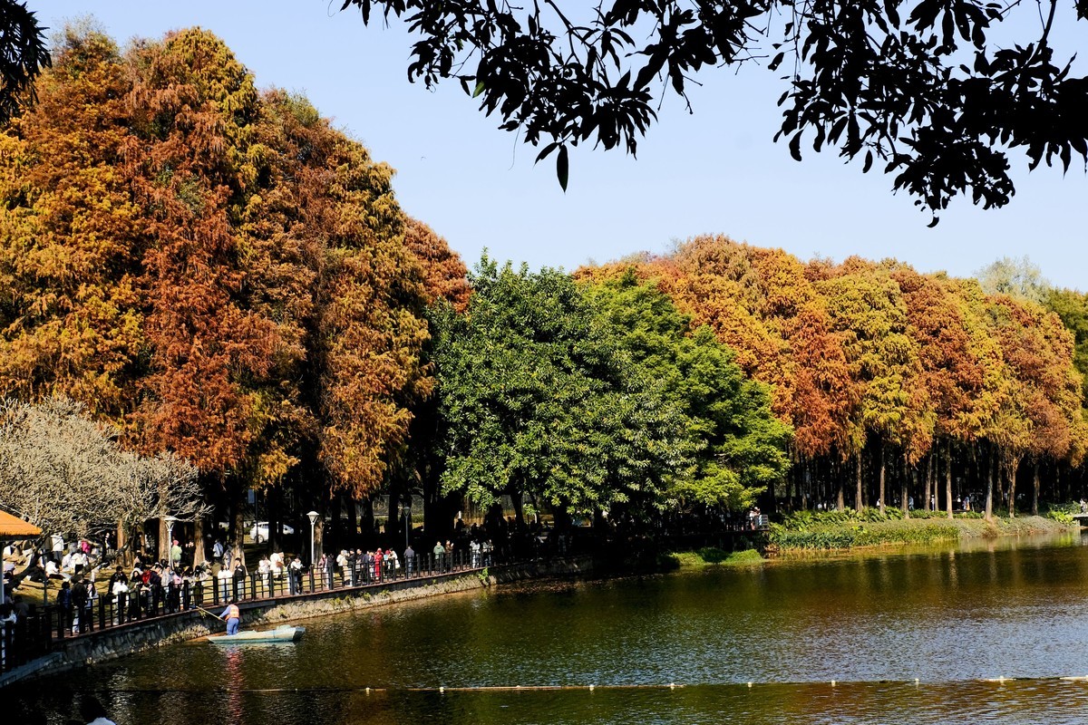 麓湖公园冬日景色