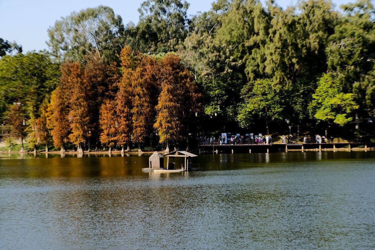 麓湖公园冬日景色