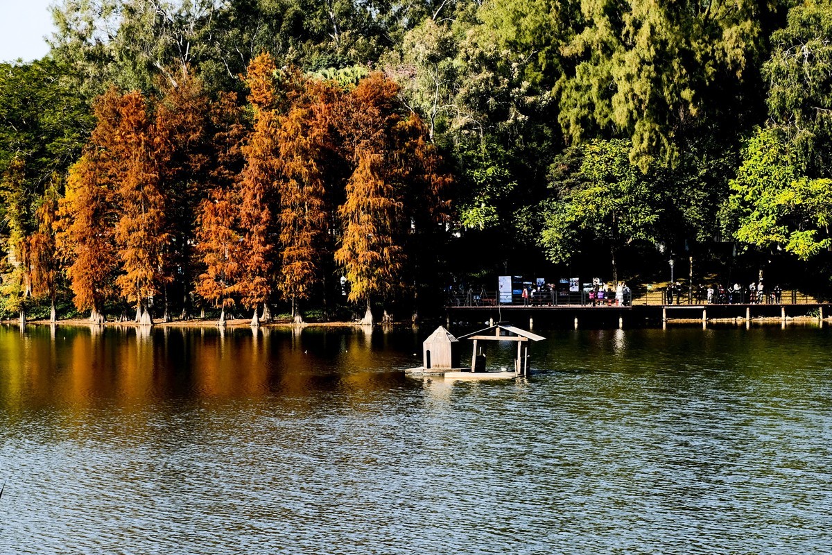 麓湖公园冬日景色